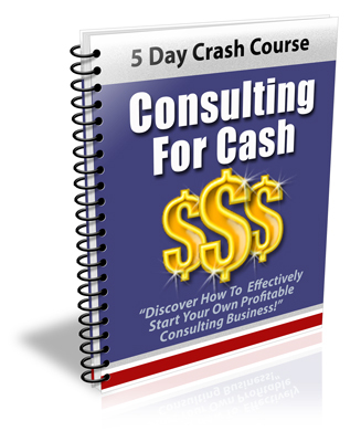 Product picture Consulting For Cash 2012 with plr